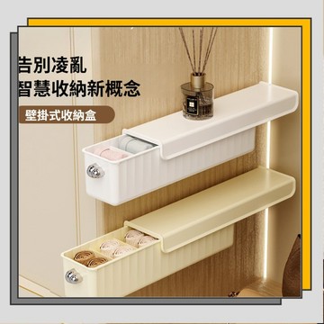 🔥臺灣出貨🔥【🔥免打孔】內衣襪子收納盒 壁掛式三合壹 衣櫃門後收納 防塵分隔整理盒/