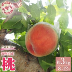 先行受付 厳選!桃 約3kg(8～12玉) 山梨県笛吹市産