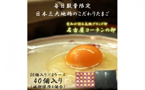 ☆名古屋コーチンの卵40個入り（36個 破卵保証4個）