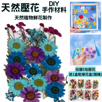 【A-ONE】藍色壓花 押花 乾燥花 壓花材料 植物押花材料 美甲乾燥花 標準包-青出於藍 BB06_廠商直送