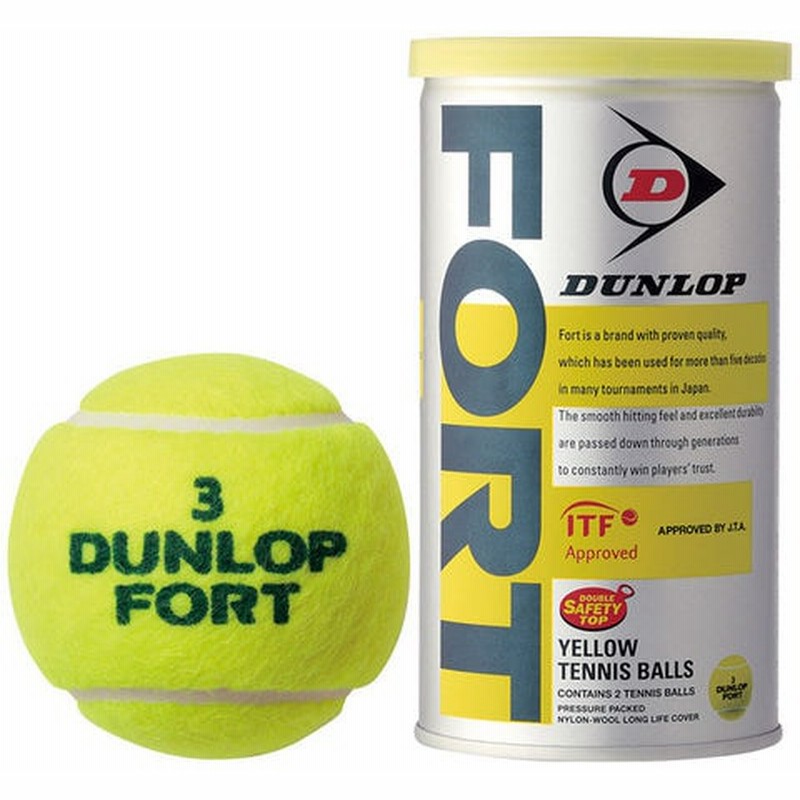 新品 ダンロップ フォート DUNLOP FORT 箱 30缶 www.krzysztofbialy.com