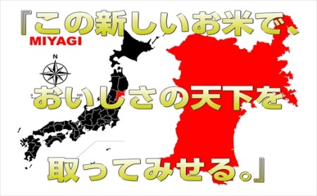 宮城県栗原産 だて正夢 毎月5kg (5kg×1袋)×6ヶ月