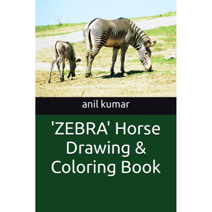 'ZEBRA' Horse Drawing  Coloring Book