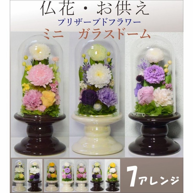 プリザーブドフラワー 仏花 仏壇 お供え 仏壇花 ミニ仏壇用 ガラスドーム ドーム 初盆 お悔やみ花 お彼岸 法要 法事 お盆 仏壇用 陽かり 通販 Lineポイント最大0 5 Get Lineショッピング