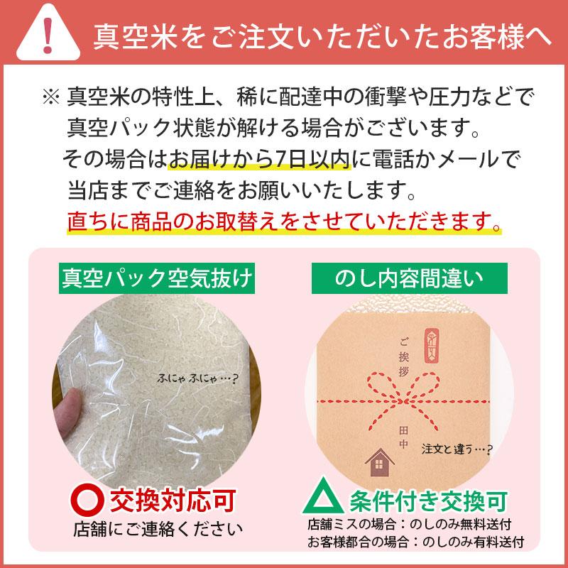 出産内祝い用おいしいご挨拶 2合 300g 内祝い 出産 米 お返し のし お米 ギフト 御礼 プチギフト 贈り物 新潟産コシヒカリ 真空パック 令和5年産