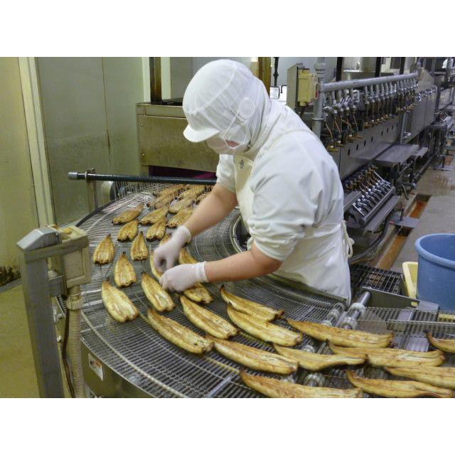 国産 うなぎ 蒲焼き 1尾 約160g 鹿児島県産 養殖 ウナギ 真空パック