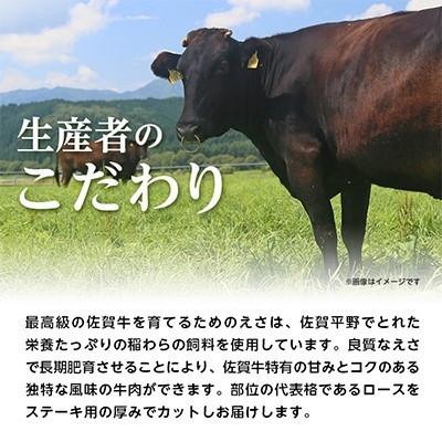 ふるさと納税 小城市 佐賀牛ロースステーキ用500g(2枚入り)(小城市)