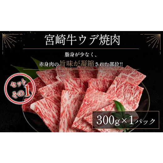 ふるさと納税 宮崎県 新富町 ≪肉質等級4等級≫宮崎牛・豚・ウィンナー人気のBBQ肉セット 合計1.4kg以上 国産 送料無料 焼肉 ※90日程度でお届け