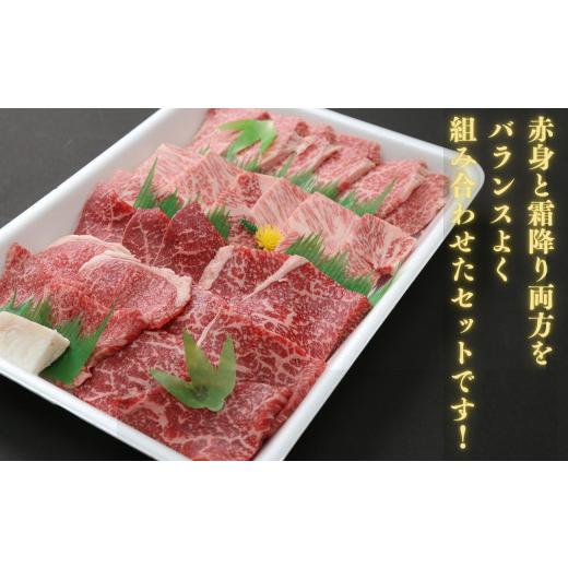 ふるさと納税 徳島県 小松島市 定期便 3回 牛肉 赤身 セット 600g × 3ヵ月 計1.8kg 国産 黒毛和牛 阿波牛 冷凍 お肉 焼肉 BBQ バーベキュー