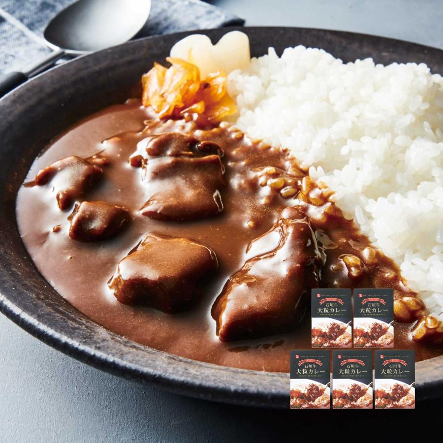 石垣牛　大粒カレー5袋セット