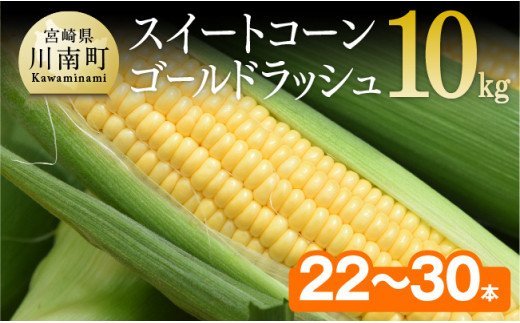 2024年発送 朝どれ！守部さんちのスイートコーン（ゴールドラッシュ）10kg（２２～３０本） [E6410]