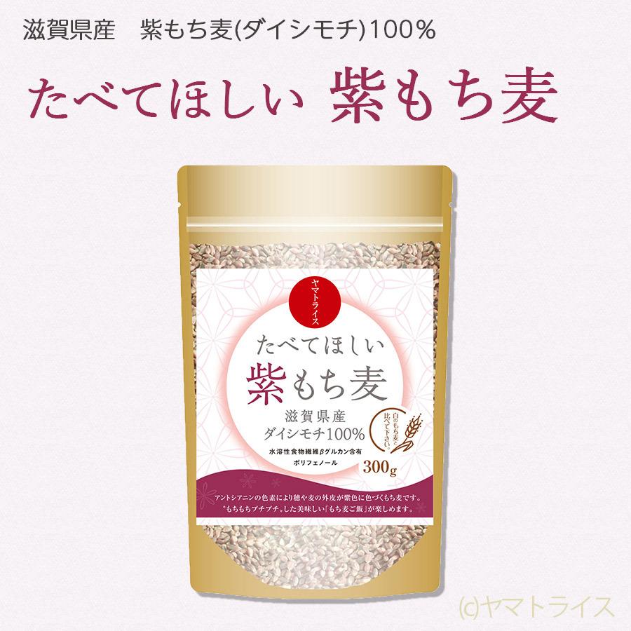 紫もち麦 国産 ダイシモチ 1.2kg (300g×4袋) 滋賀県産 もち麦