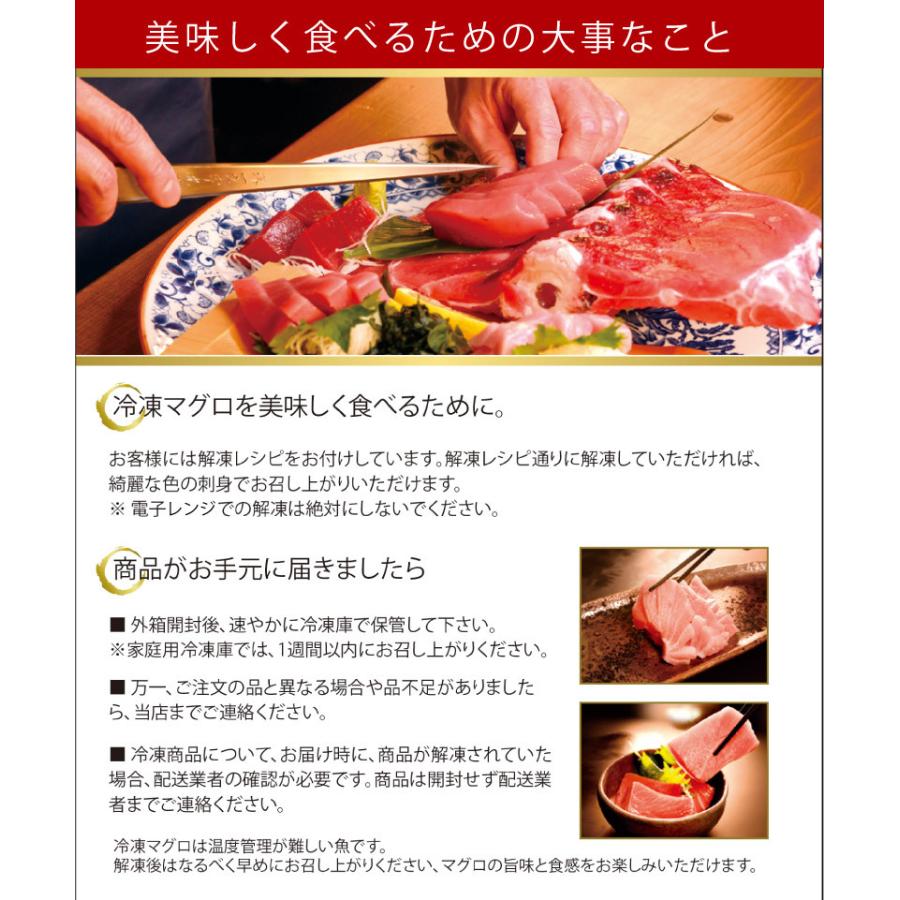 送料無料　約500g(5人前) [短冊・約250gx2]　冷凍・本まぐろ（赤身）マグロ専門卸会社直送