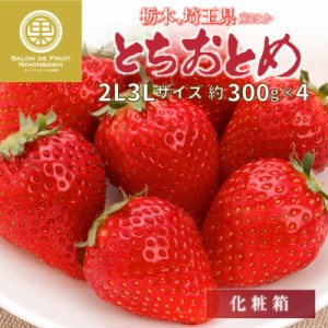 [予約 2024年1月1日必着] とちおとめ 約300g×4 2L3L 栃木県産他 果実専用箱 高品位 お正月必着指定 お年賀 御年賀 冬ギフト