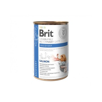 Brit咘莉-犬貓用處方系列罐頭-照護調理配方-鮭魚 400g (100291) x 6入組(購買第二件贈送寵物玩具x1包)