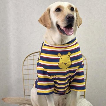 狗狗衣服大型犬薄款夏拉布拉多潮牌可愛衣服金毛薩摩防掉毛衣服