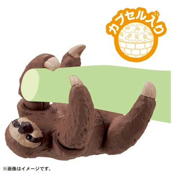 《TAKARA TOMY》多美動物ANIA AC-06 樹懶寶寶 東喬精品百貨