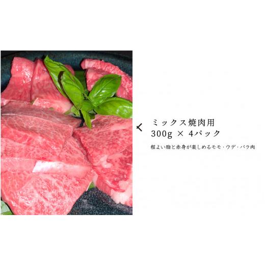 ふるさと納税 島根県 邑南町 石見和牛たっぷり焼肉セット1.2kg