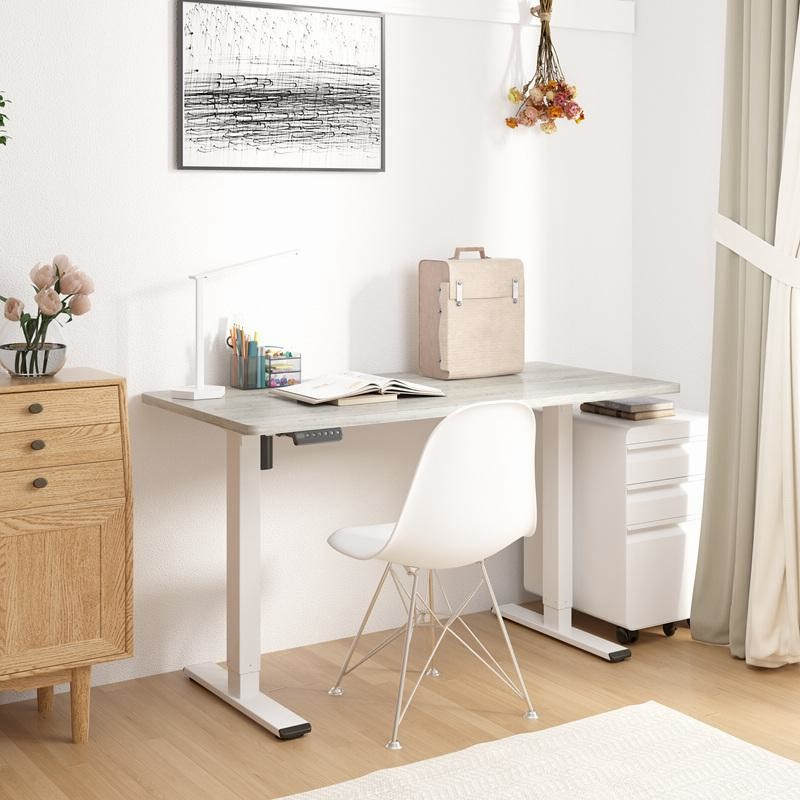 Flexispot E1W ホワイト Amazon.com: FLEXISPOT 55