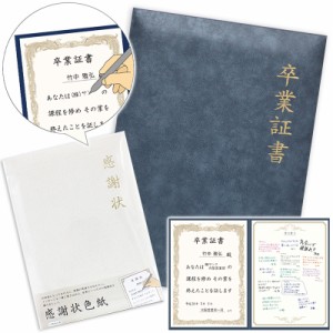 感謝状 卒業証書 色紙 寄せ書き メッセージカード 卒業証書色紙 感謝状色紙 卒業色紙 思い出 卒業 退職 記念 送別 グリーティング 立体色