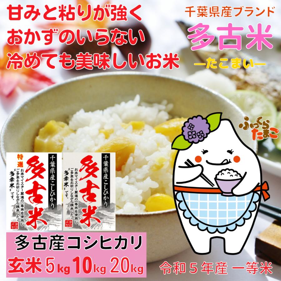 多古米 コシヒカリ 新米　玄米　5kg  一等米　千葉県多古産 こしひかり 　たこまい　オプション　10kg 20kg　選択可能