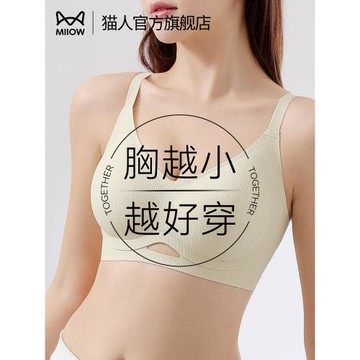 貓人內衣女夏季薄款小胸聚攏美背收副乳防下垂新款冰絲無痕文胸罩