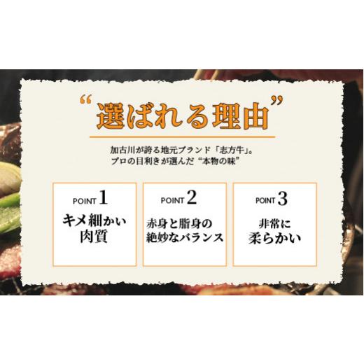 ふるさと納税 兵庫県 加古川市 志方牛焼肉セット（600g）
