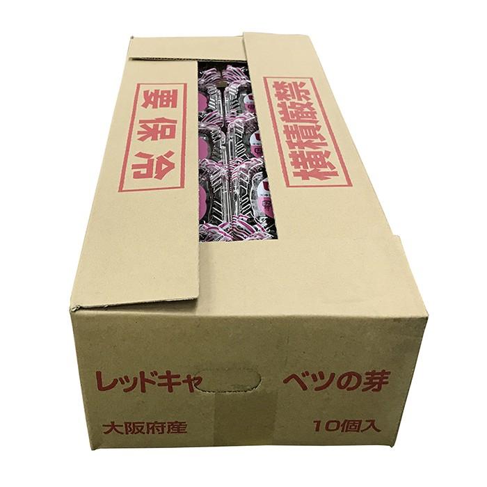 大阪府産　レッドキャベツの芽　10個入り（箱）