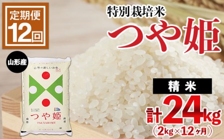 山形産 特別栽培米 つや姫 2kg×12ヶ月(計24kg) FZ21-331
