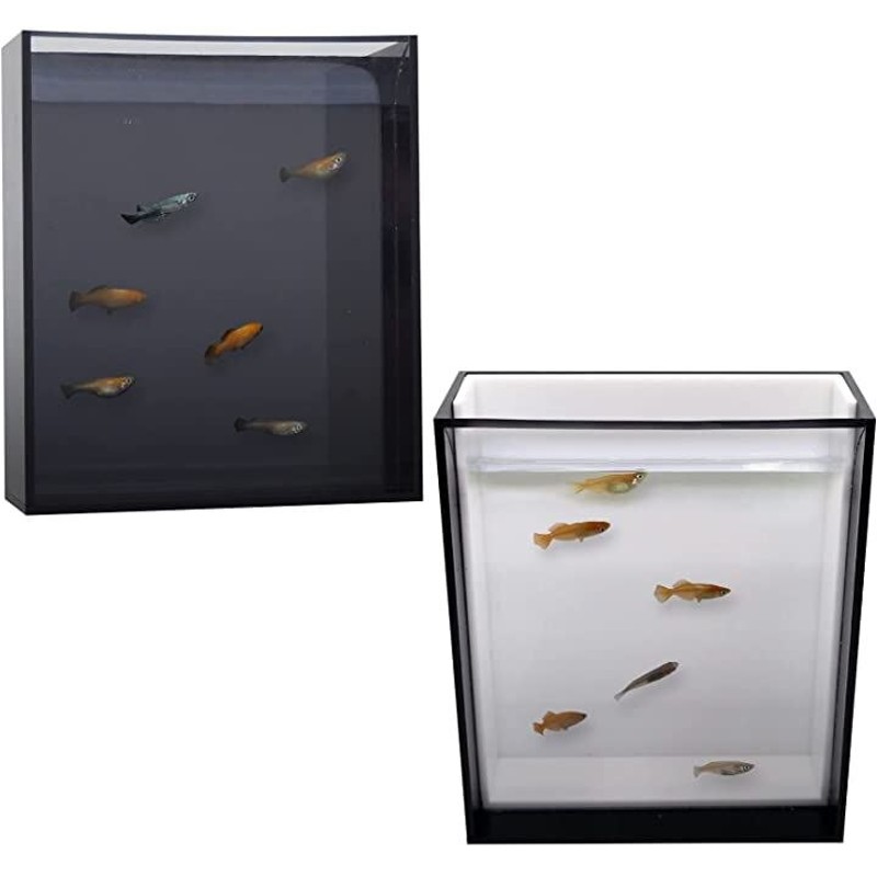 SALE／101%OFF】 メダカの角網 浅型 小 熱帯魚・アクアリウム