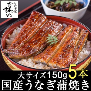 国産 うなぎ蒲焼き 大サイズ150g×5本 国産うなぎ 蒲焼き タレ付き 送料無料 山椒別売り 国産 うなぎ お取り寄せ グルメ 贅沢 おうちで