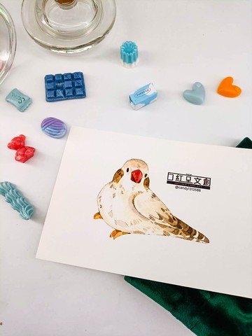 KR474_口紅堂明信片_文鳥8_candy1313588 postcard