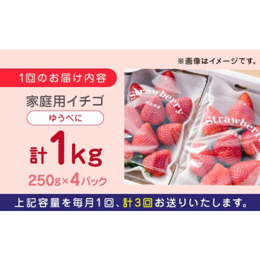 ふるさと納税 熊本県 山都町 熊本県産 ゆうべに いちご セット 250g×4P 農園直送 産地直送 山都町産[YBI046] 40…