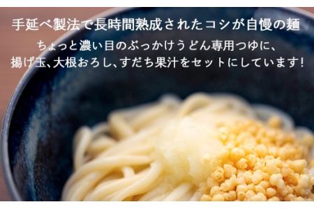 さぬき小豆島の冷凍ぶっかけうどん 12食セット