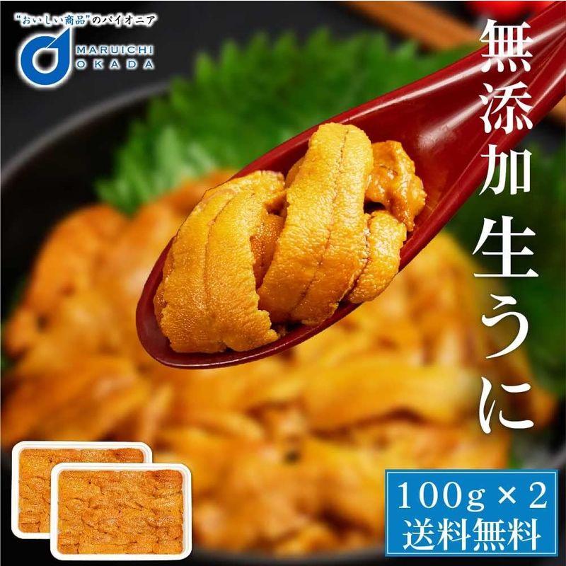 ウニ 100g チリ産 (2パックセット)