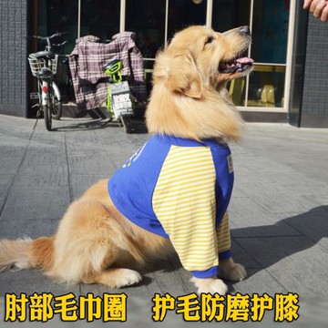 柴犬邊牧薩摩耶中大型犬狗狗護膝前腿護肘衣金毛哈士奇關節保護套