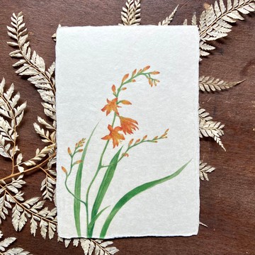 和紙明信片【夏日的回憶】