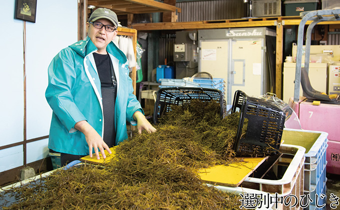 生炊きだからおいしい 瀬戸内 ひじき 28g×9袋 エビス水産