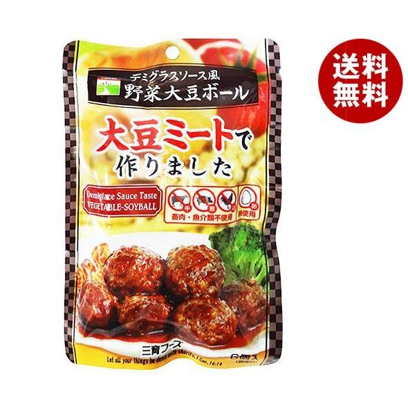 三育フーズ デミグラス風野菜大豆ボール 100g×15袋入｜ 送料無料 一般食品 大豆ミートボール 惣菜