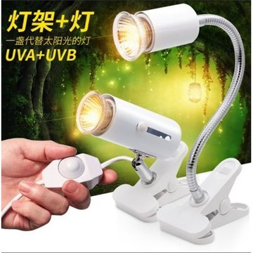 JiueseAqua現貨  寵物 爬蟲 烏龜 蜥蜴 幼鳥 兔子 陸龜 倉鼠 曬背燈 UVA UVB3.0 夾燈
