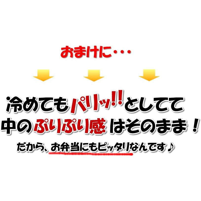 ぷりぷりエビ春巻き10個入り