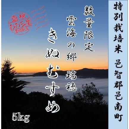 令和5年産　特別栽培米　お米5kg 邑智郡邑南町　雲海の郷瑞穂きぬむすめ　 1等米　数量限定