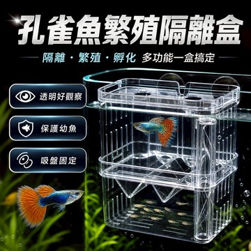 [台【台灣出貨】一體式孵化隔離盒｜孔雀魚孵化盒｜魚缸隔離盒｜水族繁殖盒｜生產隔離盒｜鬥魚隔離盒｜小魚孵化盒