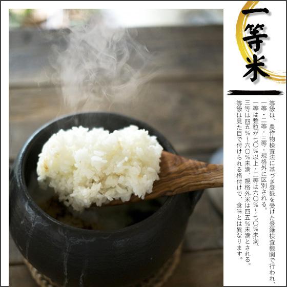 令和５年産　お米 2kg　特別栽培米新潟産 「新之助」 2kg 当日出荷　送料無料※一部地域を除く