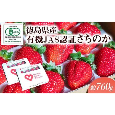 ふるさと納税 とくしまオーガニックいちご（380g以上×2段） 徳島県