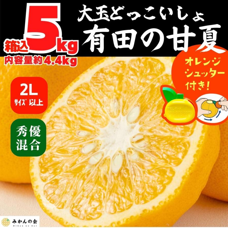 甘夏 大玉 どっこいしょ 箱込 5kg 内容量約 4.4kg 秀品 優品 混合 2Lサイズ以上 和歌山県 産地直送  