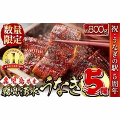 【お礼の品人気No1】霧島湧水鰻の蒲焼き 160g以上×5尾＜計800g以上＞ b8-004