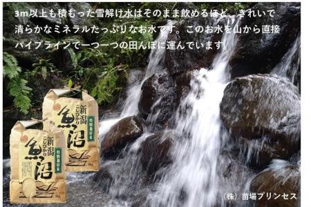 魚沼産コシヒカリ　苗場プリンセス　特別栽培米　農薬化学肥料５割減　精米（10ｋｇ）　5ｋｇ×2