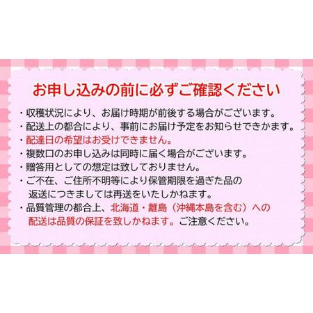 ふるさと納税 九州・福岡フルーツ王国八女　お楽しみ旬のフルーツ定期便 E｜＜配送不可：北海道・沖縄・離島＞　072-T005 福岡県八女市