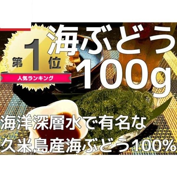 みやぎ商店 久米島産海ぶどう100g×1個 海ぶどう 沖縄 海洋深層水 で有名な久米島産海ぶどう100％ ポイント消化 食品 おすすめ